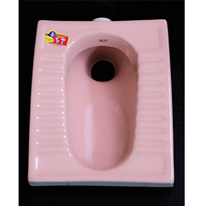 Step Asian Toilet Pink