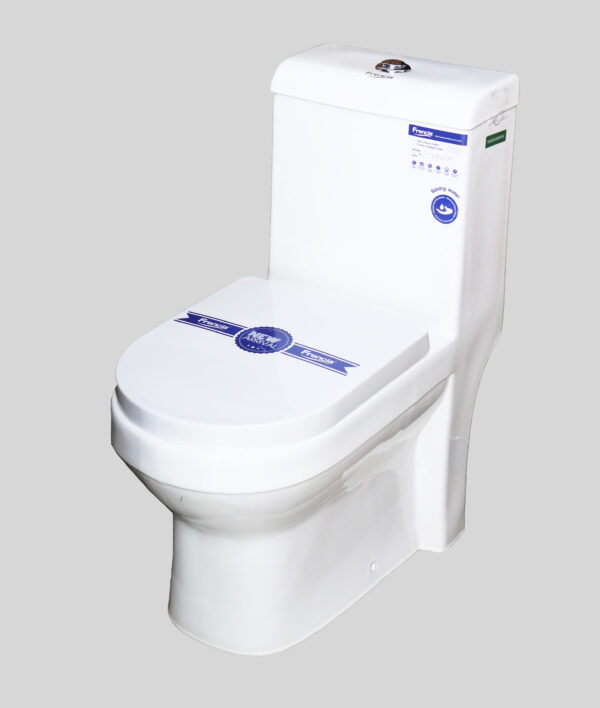 DYG01 One Piece Toilet (Copy)